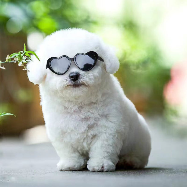 Doll Sunglasses Pet Toy