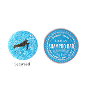 Round Green Tea Soap Shampoo